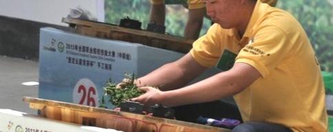 关于苏州“陆羽”的做茶哲学：心态决定一切的最新资讯