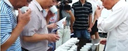 有关于福鼎白茶民间斗茶赛昨日开赛的消息