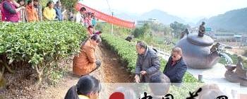 关于茶叶专家给昭平群众传授有机茶施肥知识的最新消息