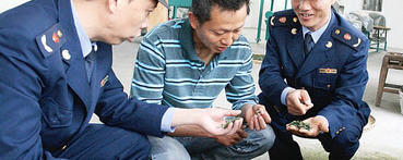 有关于武汉新洲区旧街工商所引导企业注册茶叶商标的新闻