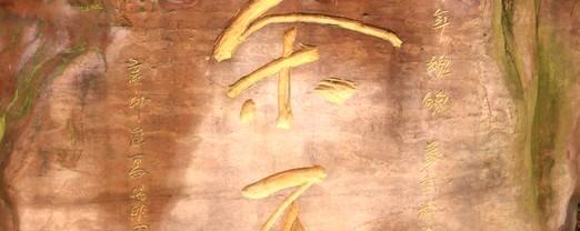 有关于黔茶发现之旅一 探访久安历经千年古茶树群的热门消息