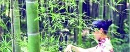 有关于苏州茶馆风格正向多元化方向发展的最新消息