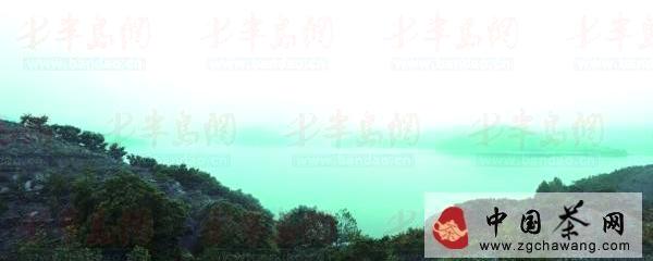 有关于礼品茶瞄上大众路线的热门信息