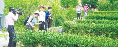 有关于信阳34家茶企组团参展游茶乡的热门消息