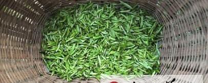 有关于2014竹叶青春茶 清新上市的消息