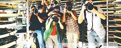 关于寻找福建最美茶乡暨采风摄影大赛走进政和的最新消息