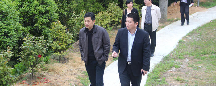 有关于省质监局至我司做“茶叶标准化技术委员会红茶工作组”进度调研的消息