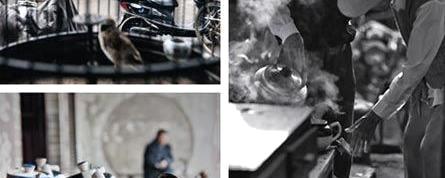 有关于安徽临涣古镇 袅袅茶香慢慢品的热门信息