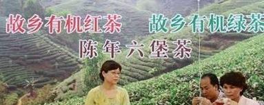 有关于韩国考察团赴昭平县开展茶文化交流的最新消息
