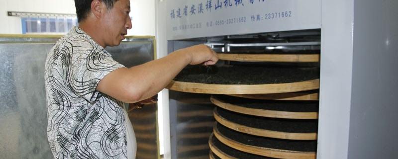 关于吕梁市佳元苦菜茶深受群众喜爱的最新信息