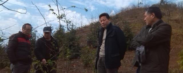 关于陆国保赴平乐县调研甜茶产业发展的新闻