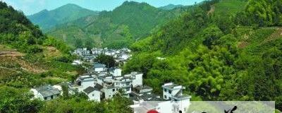 有关于光明村 山清水秀茶飘香的最新消息