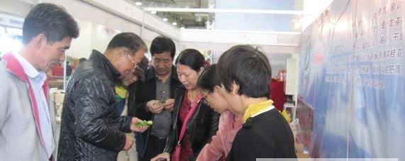 关于漳平水仙茶2013中国茶叶博览会上展新姿的新闻