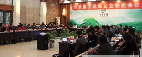 关于颜泽文：川茶联盟将抱团发展打响品牌的热门资讯