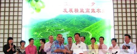 有关于嘉山应水孕育“嘉应茗茶”的最新消息