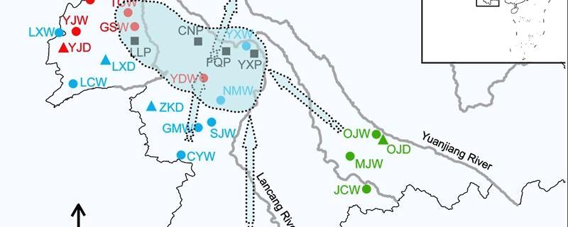 有关于昆明植物所“大理茶栽培起源研究”取得进展的热门新闻