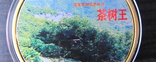 关于中国首套茶文化主题吉祥钱面世的热门新闻