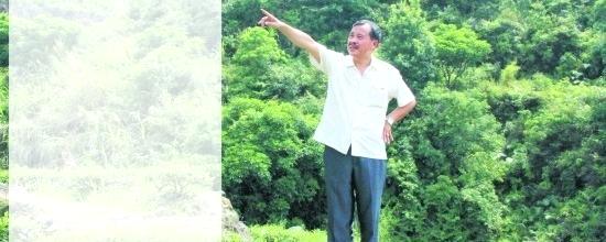 关于永春老茶农林开荒山种茶重生态富民的资讯