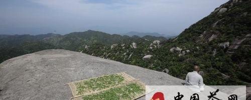 有关于《茶》 央一开播 四看点探寻茶文化的信息