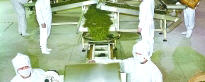 有关于福州茉莉花茶续写“世界名茶”新篇章的热门新闻