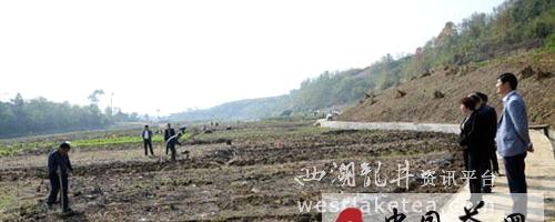 有关于竹山县无性系茶苗大田栽植使用“新技术”(图)的热门消息