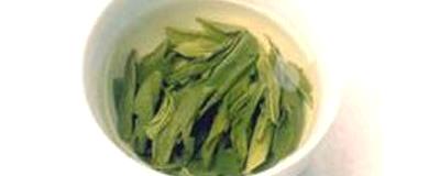 关于意大利茶叶协会考察团到六安裕安区考察六安瓜片的热门资讯