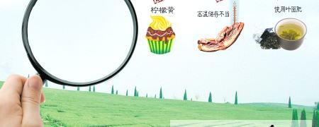 关于省质监第七批食品督查结果 茗湘茶被抽检出稀土超标的热门信息
