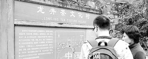 有关于明前龙井价格大跳水之真相探访的消息