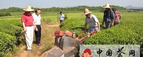 有关于婺源县开展茶园除草中耕机应用试验的最新信息