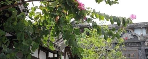 有关于川菜川茶川戏 品成都别样人生三昧的最新消息