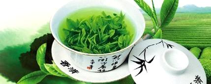 关于储存绿茶应注意的五大事项的消息