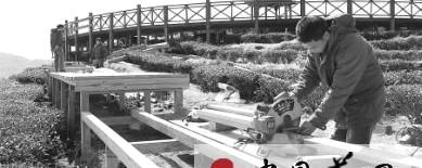 有关于大田县建设生态茶园绿色休闲体验区项目(图)的最新信息