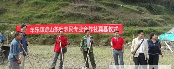 关于三都县凉山茶叶农民专业合作社共建美丽乡村的最新资讯