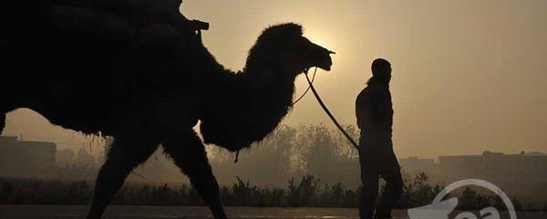 有关于“重走茶叶之路”驼友生活纪实【组图】的资讯