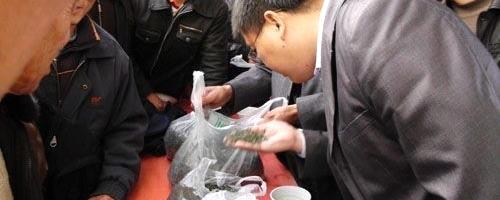 有关于茶叶成浮梁西湖特色优势支柱产业的热门新闻
