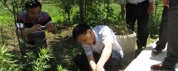 有关于岳西良奇生态园通过现代农业（茶叶）项目组验收的最新信息