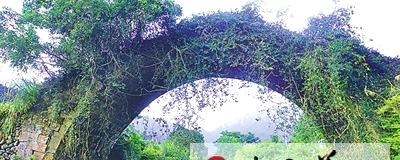 有关于建阳西坑庙：生态茶园兴起旅游热的最新资讯