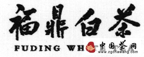 有关于茶届动态：福鼎白茶香飘海内外的新闻