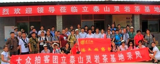 有关于茗动泉城：济南拍客灵岩茶采风归来的热门信息