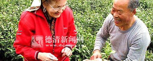 有关于加拿大女作家来德清当起“茶工”的热门信息