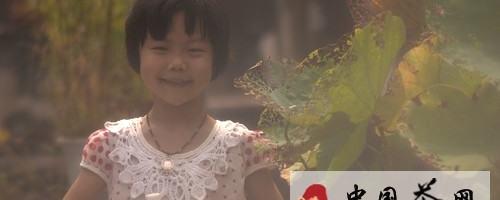 有关于纪录片《茶》寻茶寻人 洋学生为茶弃咖啡的新闻