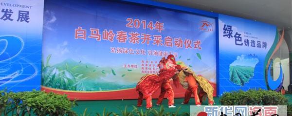 有关于海南琼中发展茶产业 茶农年收入最高43172元的资讯