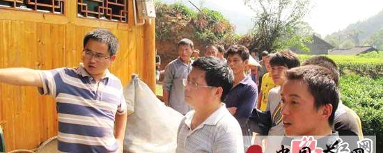 关于保靖县黄金茶种植大村举办创业培训班的热门信息