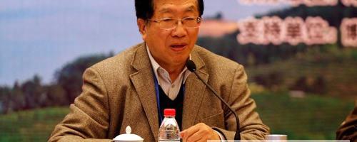 关于2013淳安千岛玉叶龙井茶发展论坛隆重举行的信息