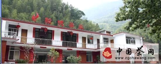 关于探访武夷山市骏德茶业：看武夷山茶企的五年变迁的新闻