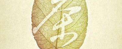 关于大型纪录片《茶》举办首场茶话会的最新信息