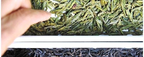 有关于浙江茶业谋变“绿肥红瘦”格局的资讯