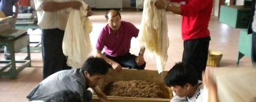 关于茶叶专家亲临元阳县指导红茶研究开发的信息