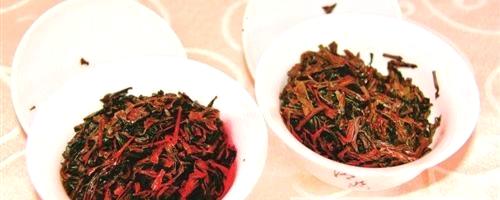 有关于海都茶友用味蕾饮遍全国的热门新闻