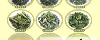 关于安溪铁观音中高端撑起北京茶市半边天的热门新闻